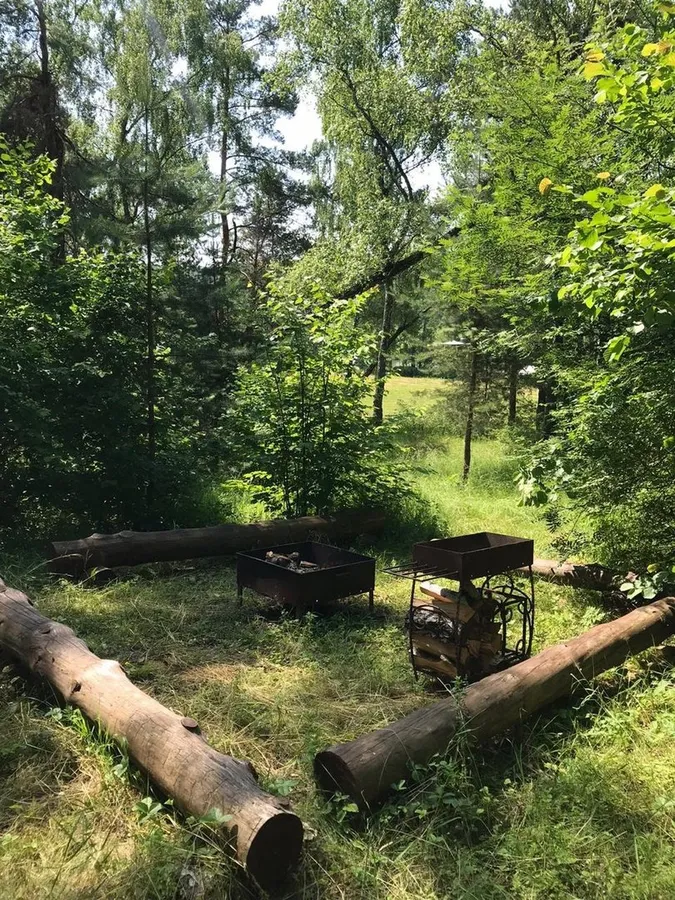 Земляничная поляна — фото 1