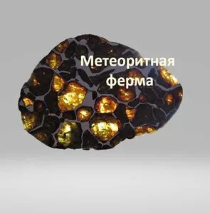 Партнёр