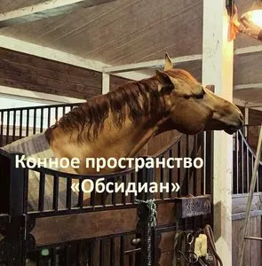 Партнёр